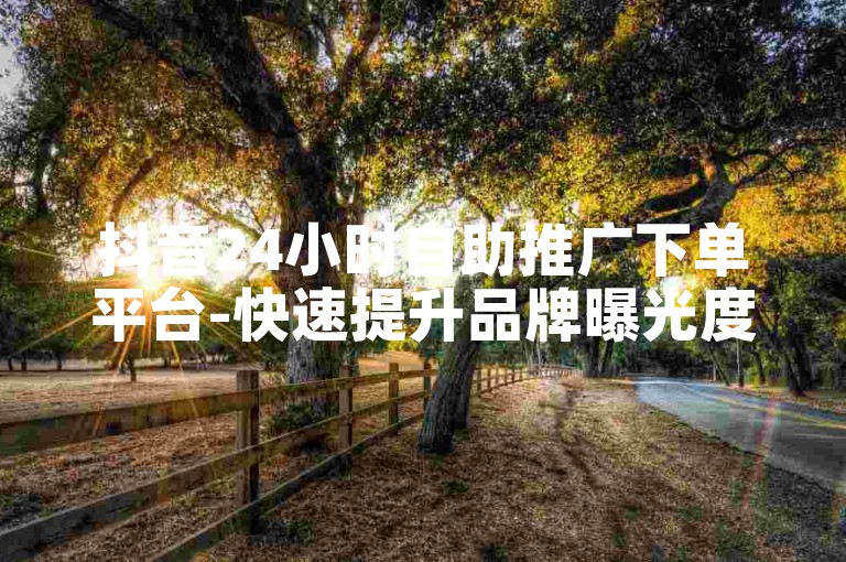 抖音24小时自助推广下单平台-快速提升品牌曝光度