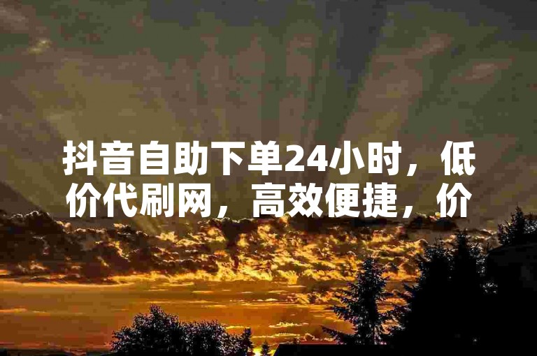 抖音自助下单24小时，低价代刷网，高效便捷，价格低