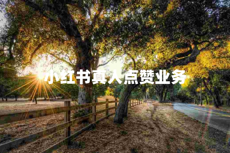 小红书真人点赞业务