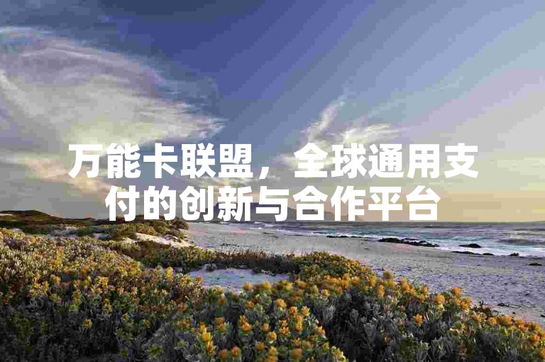 万能卡联盟，全球通用支付的创新与合作平台