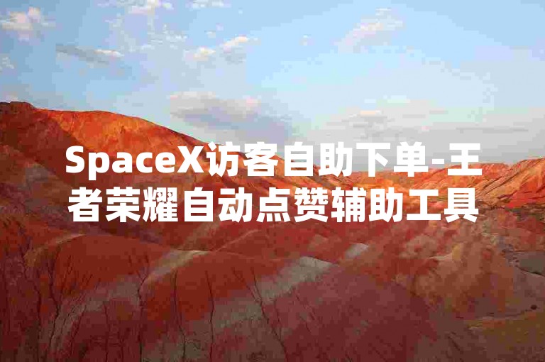 SpaceX访客自助下单-王者荣耀自动点赞辅助工具