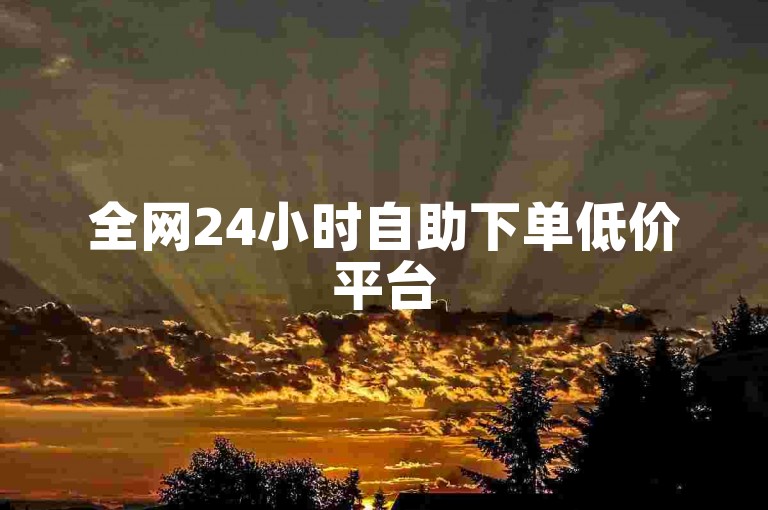 全网24小时自助下单低价平台