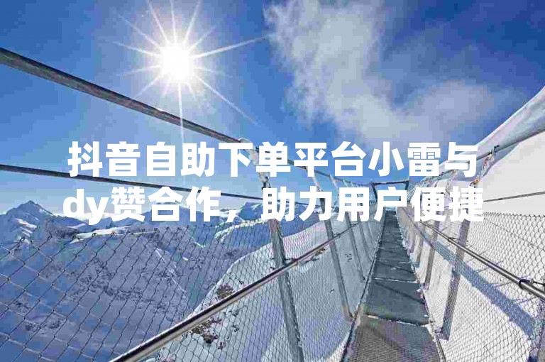 抖音自助下单平台小雷与dy赞合作，助力用户便捷下单