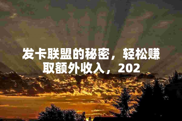 发卡联盟的秘密，轻松赚取额外收入，2025年必学