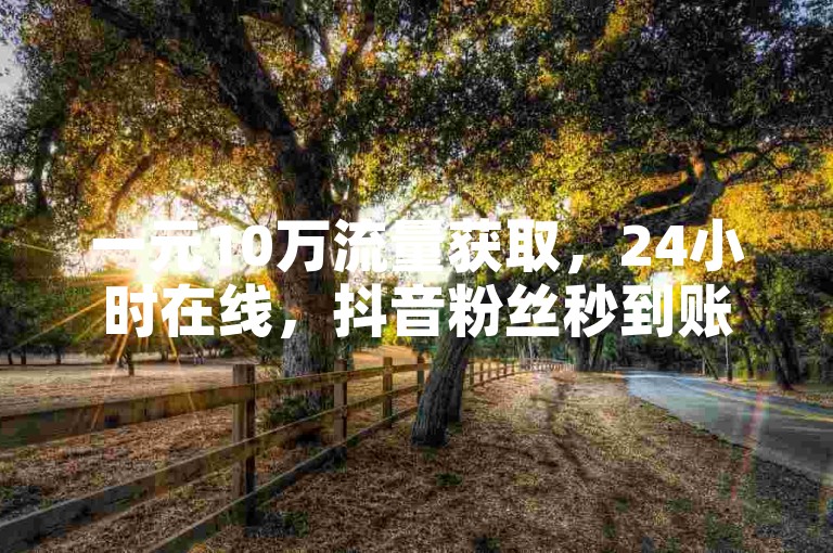 一元10万流量获取，24小时在线，抖音粉丝秒到账，快手业务秒杀