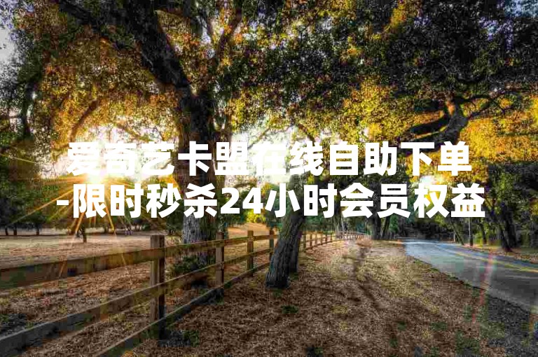 爱奇艺卡盟在线自助下单-限时秒杀24小时会员权益