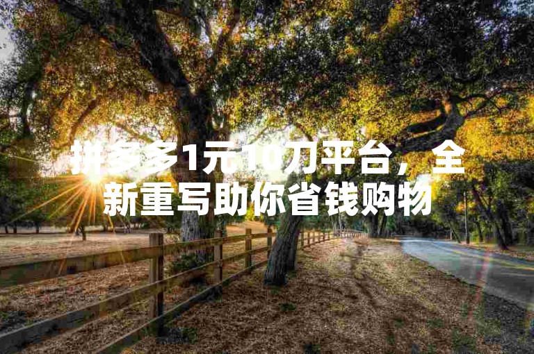 拼多多1元10刀平台，全新重写助你省钱购物