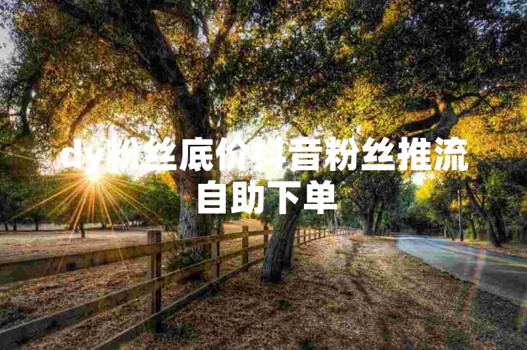 dy粉丝底价抖音粉丝推流自助下单