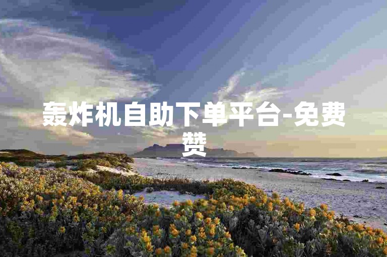 轰炸机自助下单平台-免费赞