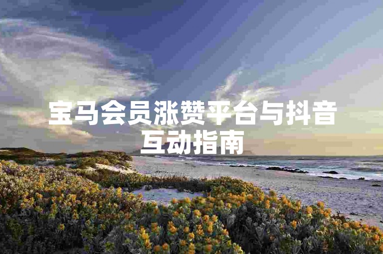 宝马会员涨赞平台与抖音互动指南