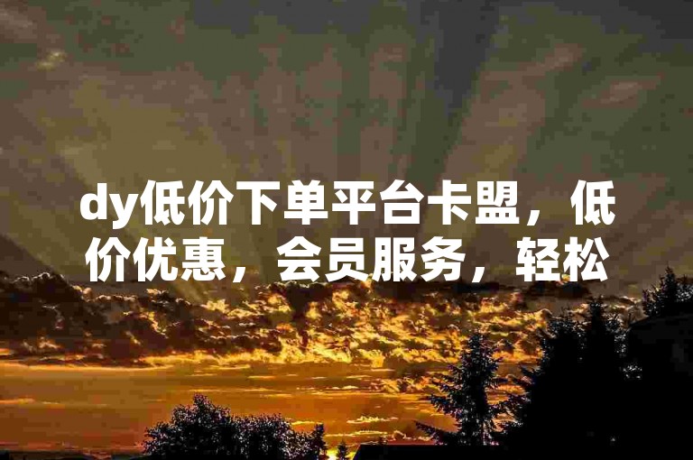 dy低价下单平台卡盟，低价优惠，会员服务，轻松享受购物乐趣
