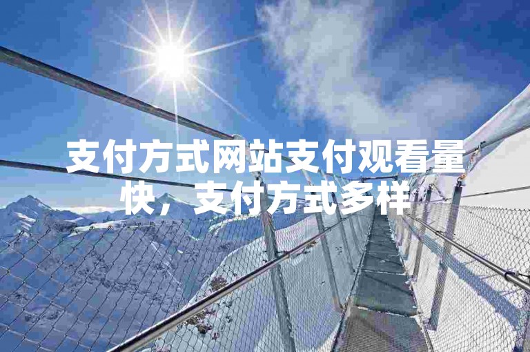 支付方式网站支付观看量快，支付方式多样