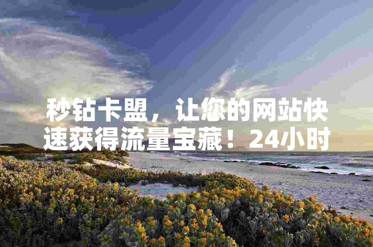 秒钻卡盟，让您的网站快速获得流量宝藏！24小时自助下单平台，轻松实现快速增长