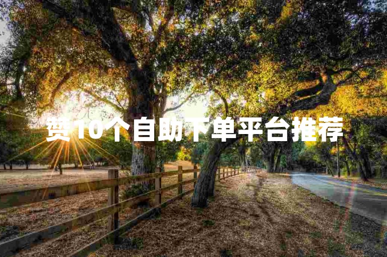 赞10个自助下单平台推荐