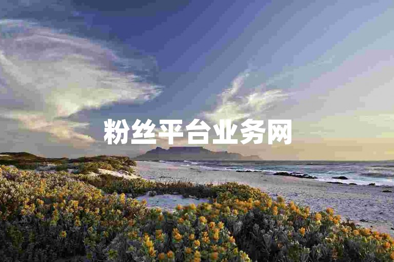 粉丝平台业务网