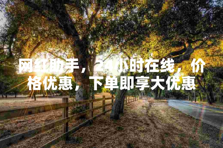 网红助手，24小时在线，价格优惠，下单即享大优惠