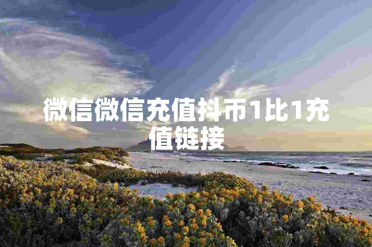 微信微信充值抖币1比1充值链接