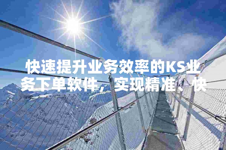 快速提升业务效率的KS业务下单软件，实现精准、快速的订单处理