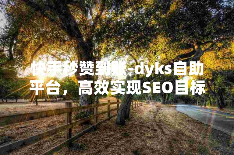 快手秒赞到账-dyks自助平台，高效实现SEO目标
