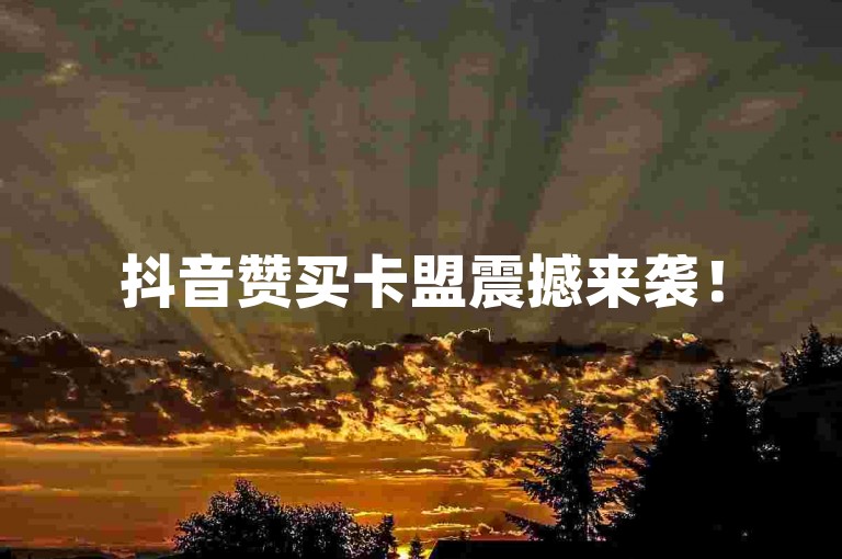 抖音赞买卡盟震撼来袭！