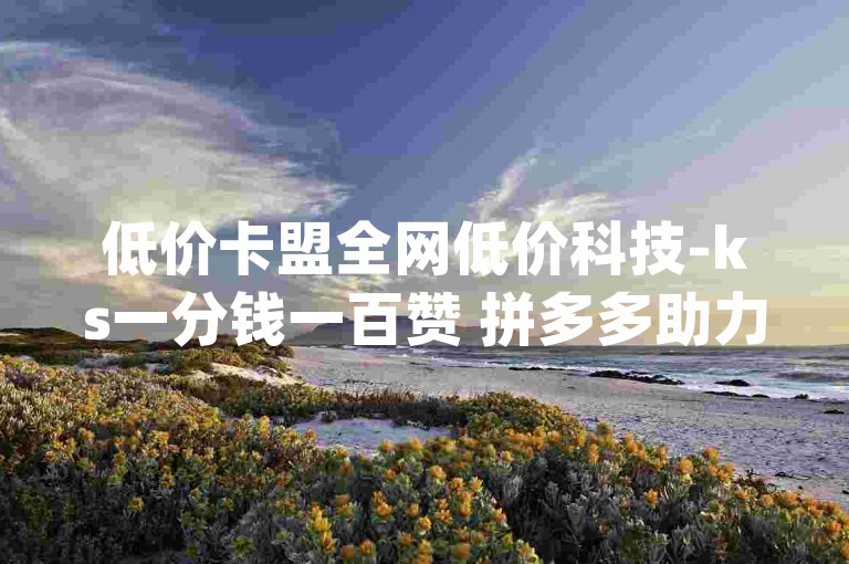 低价卡盟全网低价科技-ks一分钱一百赞 拼多多助力平台网站 qq网页登录入口_在线qq登录