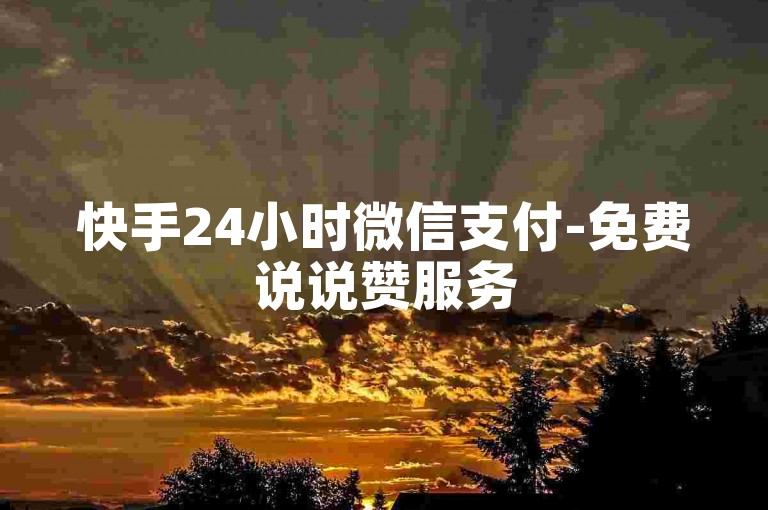 快手24小时微信支付-免费说说赞服务