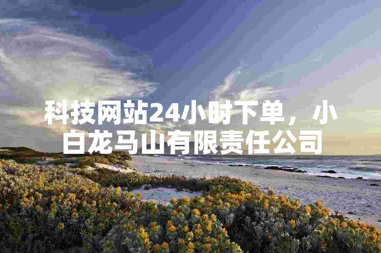 科技网站24小时下单，小白龙马山有限责任公司