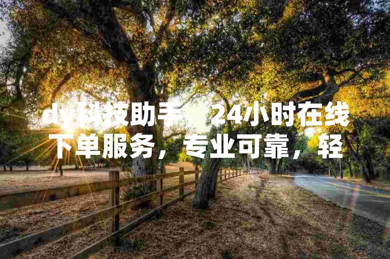 dy科技助手，24小时在线下单服务，专业可靠，轻松解决科技难题