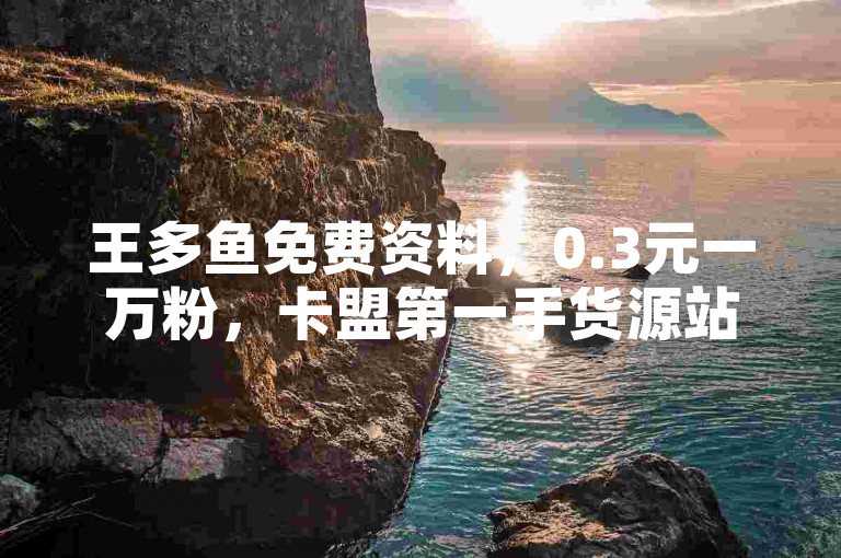 王多鱼免费资料，0.3元一万粉，卡盟第一手货源站动态说说
