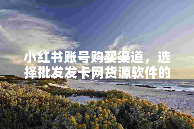 小红书账号购买渠道，选择批发发卡网货源软件的高效方式