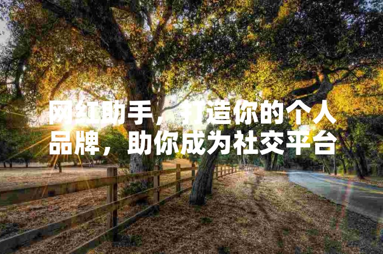 网红助手，打造你的个人品牌，助你成为社交平台上的人气王