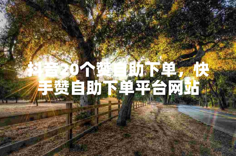 抖音20个赞自助下单，快手赞自助下单平台网站
