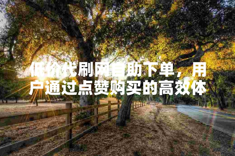 低价代刷网自助下单，用户通过点赞购买的高效体验