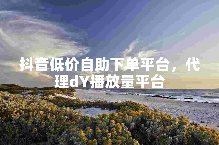 抖音低价自助下单平台，代理dY播放量平台
