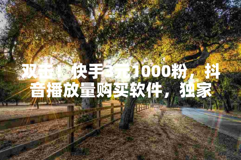 双击！快手3元1000粉，抖音播放量购买软件，独家揭秘！