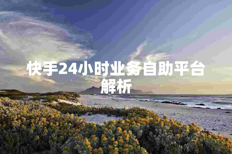 快手24小时业务自助平台解析