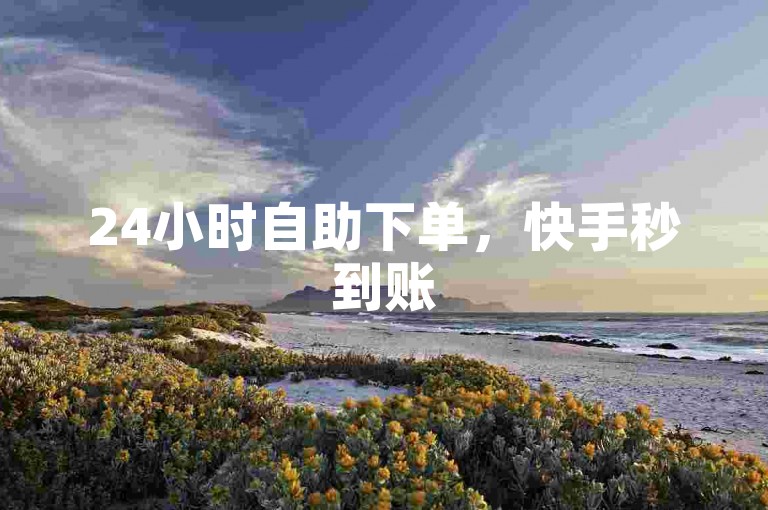 24小时自助下单，快手秒到账