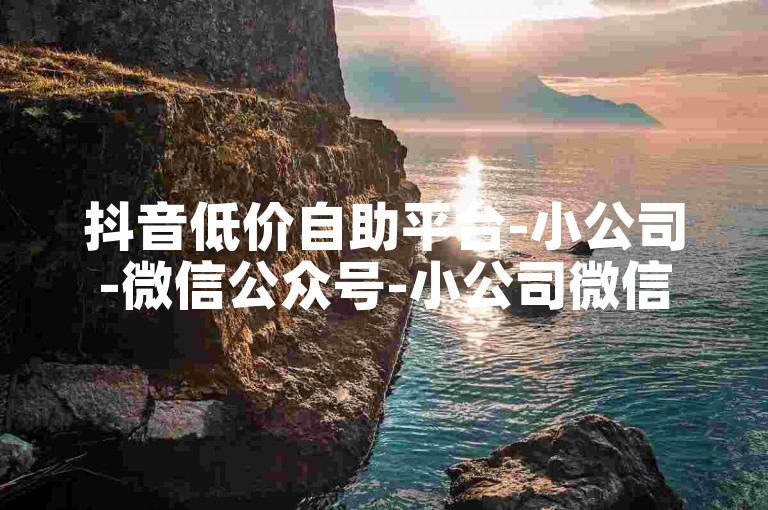 抖音低价自助平台-小公司-微信公众号-小公司微信主页点赞高-高活跃度