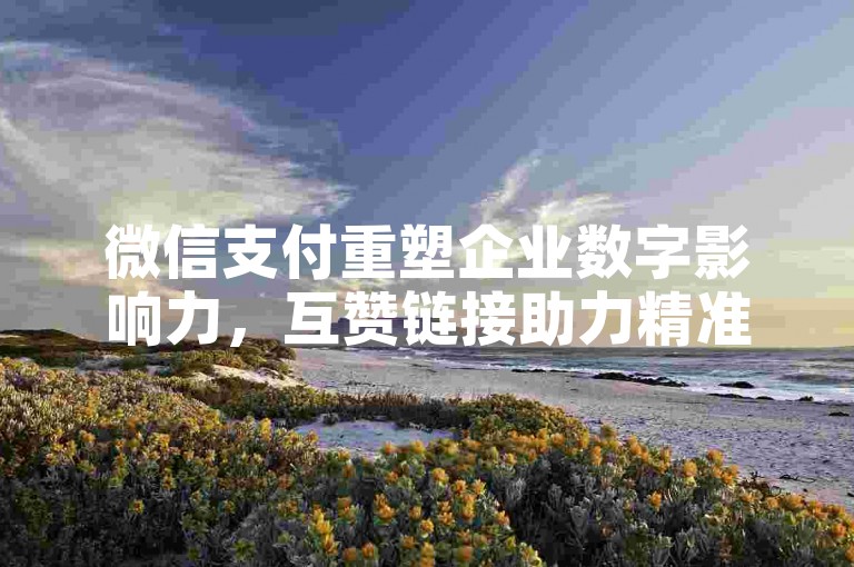 微信支付重塑企业数字影响力，互赞链接助力精准互动
