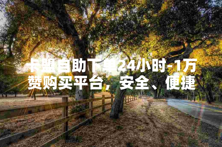 卡盟自助下单24小时-1万赞购买平台，安全、便捷、高效，让购物更轻松！