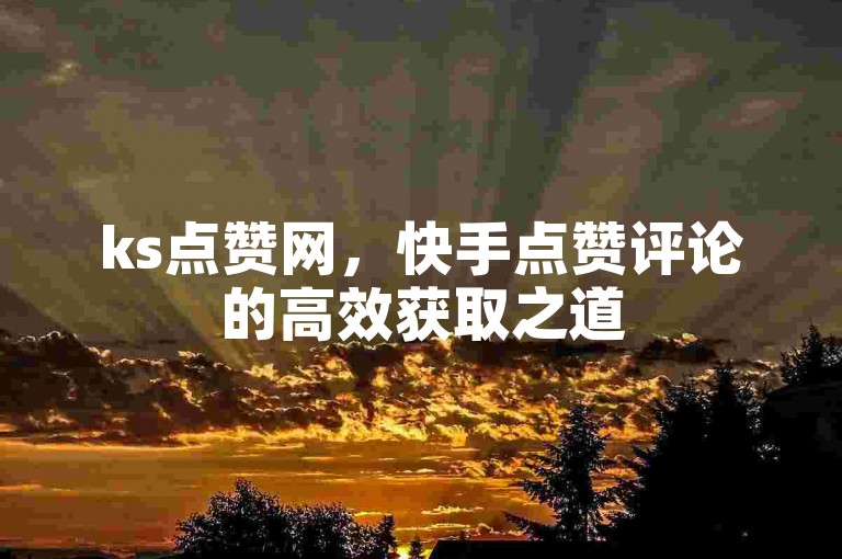 ks点赞网，快手点赞评论的高效获取之道
