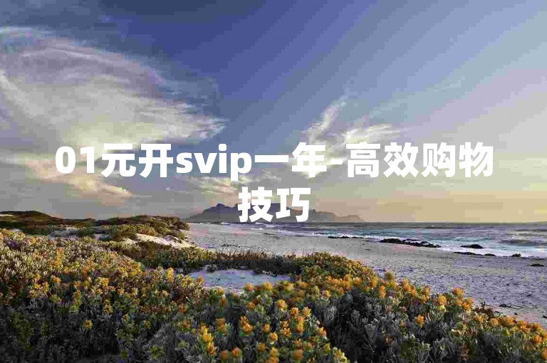 01元开svip一年-高效购物技巧