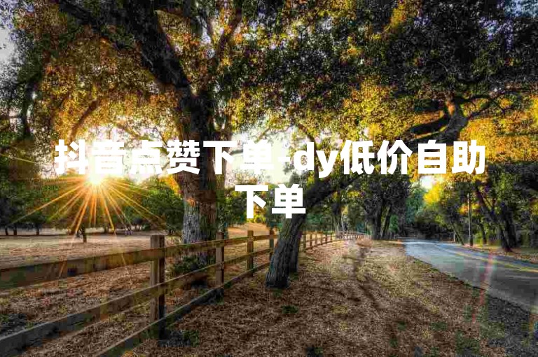 抖音点赞下单-dy低价自助下单