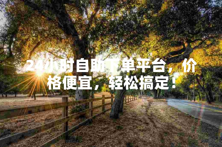 24小时自助下单平台，价格便宜，轻松搞定！