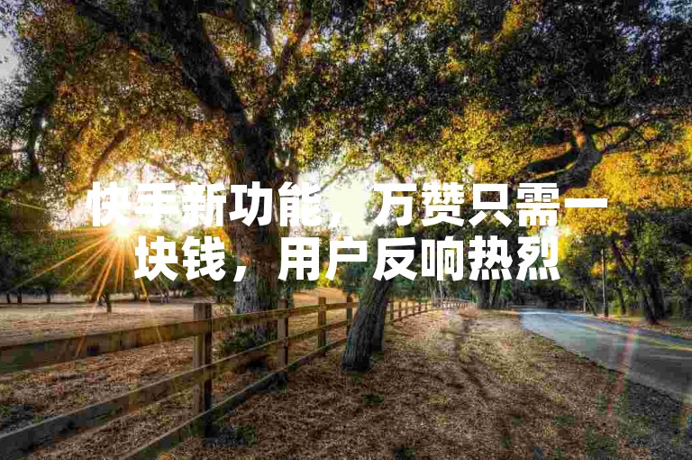 快手新功能，万赞只需一块钱，用户反响热烈