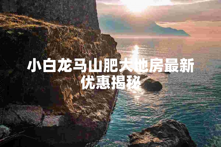 小白龙马山肥大地房最新优惠揭秘