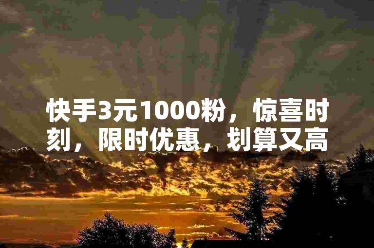 快手3元1000粉，惊喜时刻，限时优惠，划算又高效！