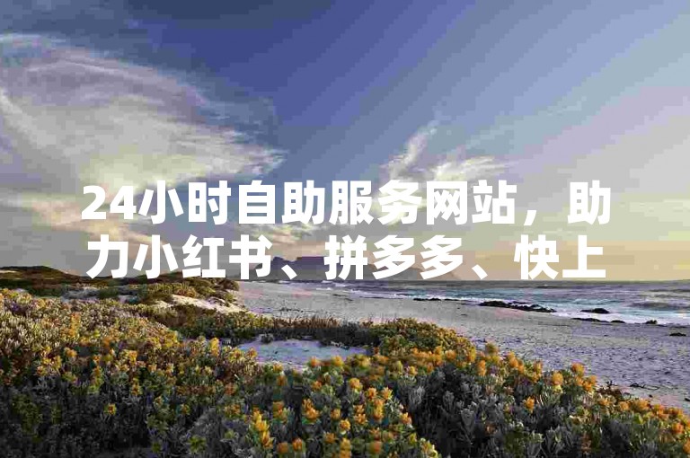 24小时自助服务网站，助力小红书、拼多多、快上获取信息