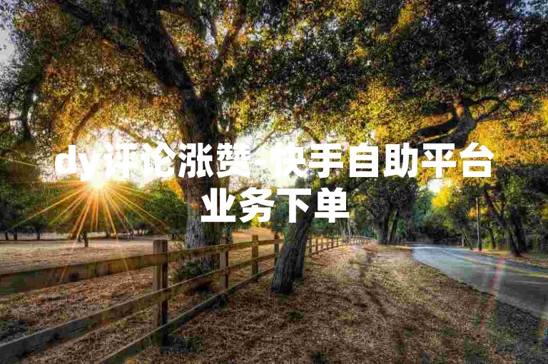 dy评论涨赞-快手自助平台业务下单
