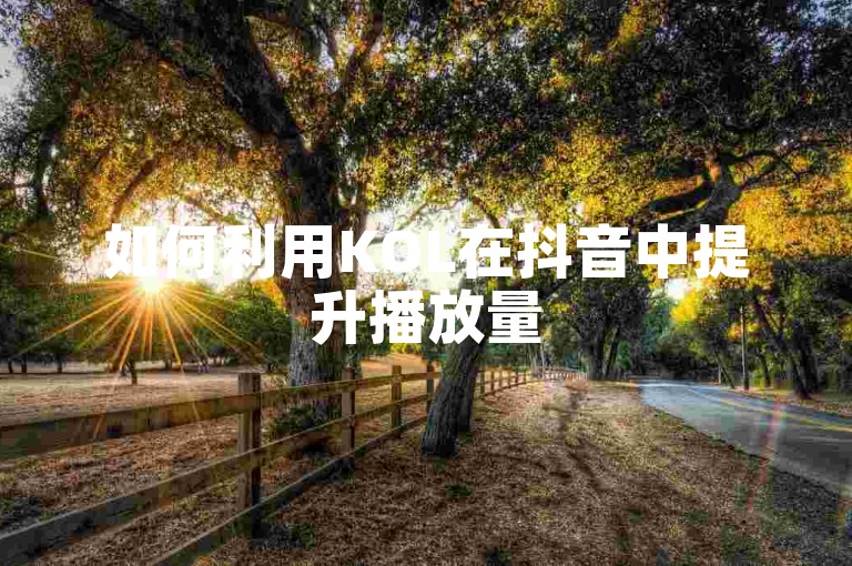 如何利用KOL在抖音中提升播放量